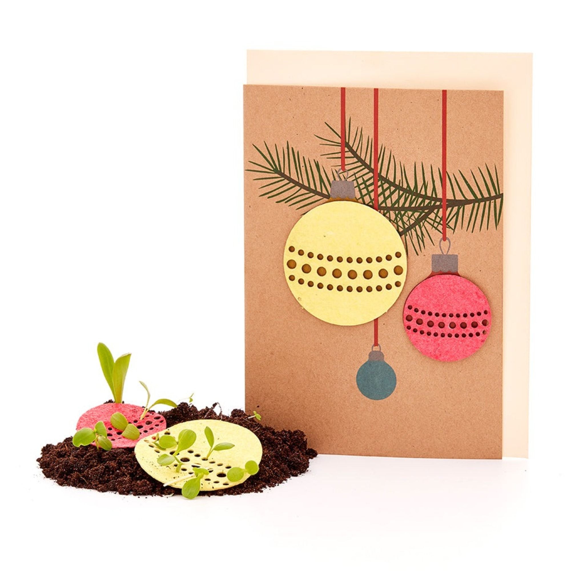 Grußkarte Weihnachten mit Saatgut
