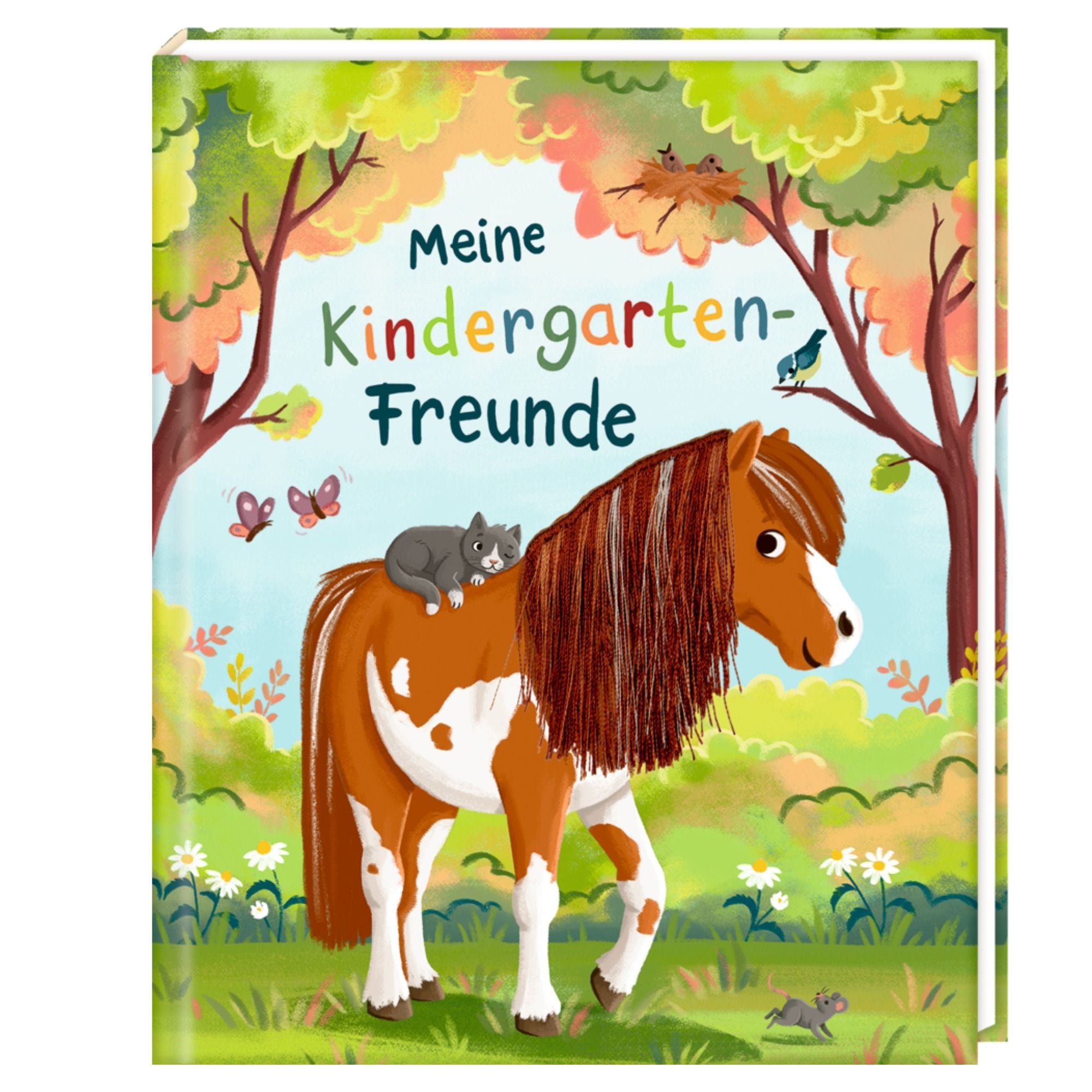 Freundebuch mit Ponymähne